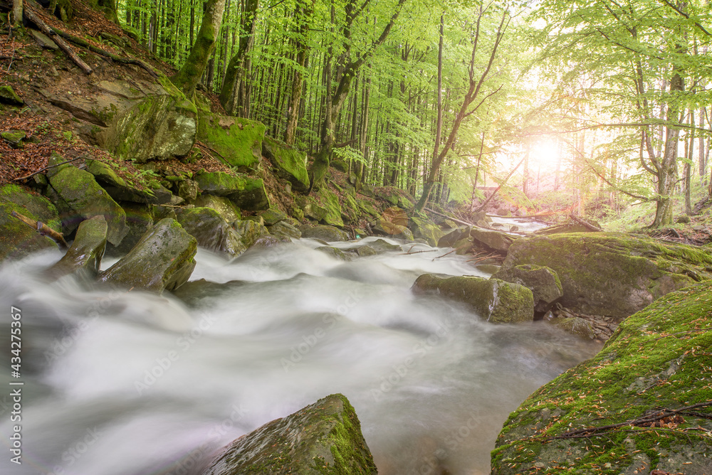 mountain stream in the woods of stone on a long exposure in the sun. beautiful nature.