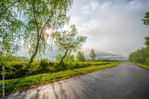 road near the field with trees on a background of mountains in the fog at sunrise. Nature travel concept.