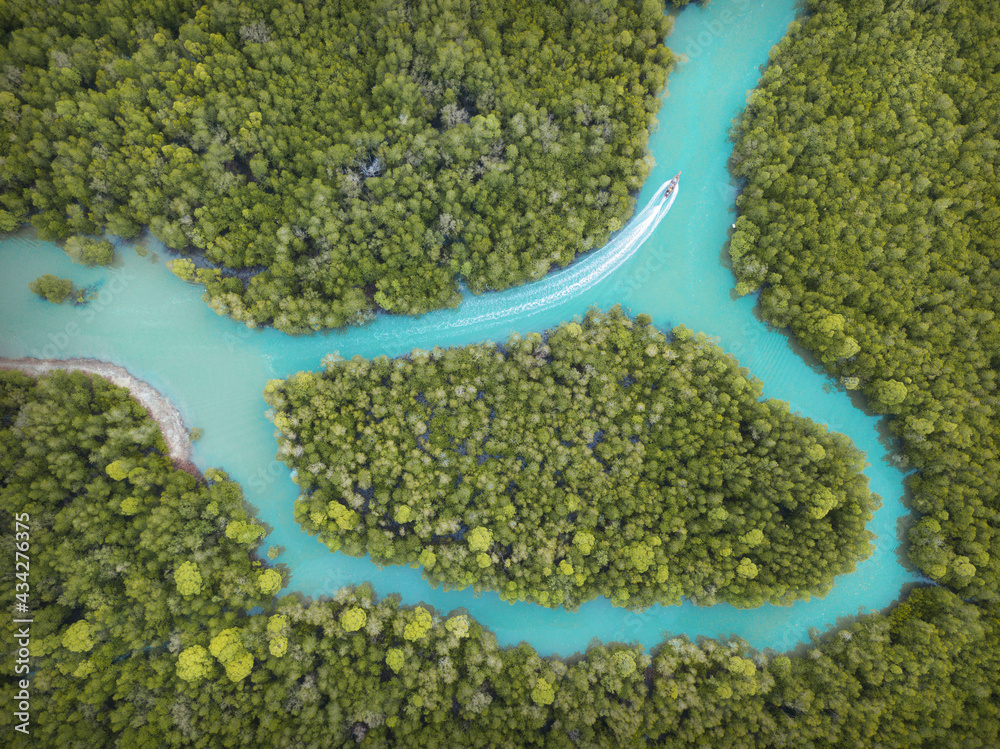 Aerial view above Mangrove forest of Thailand. Taken by drone photography