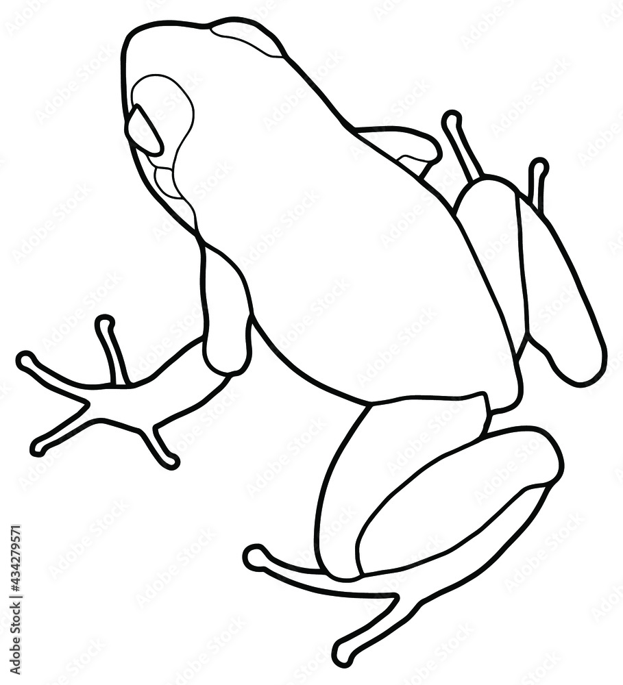 Dart frog. Coloring page. Black outline. Stock Vector | Adobe Stock