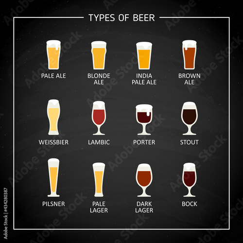 Main beer types on black chalkboard. Vector