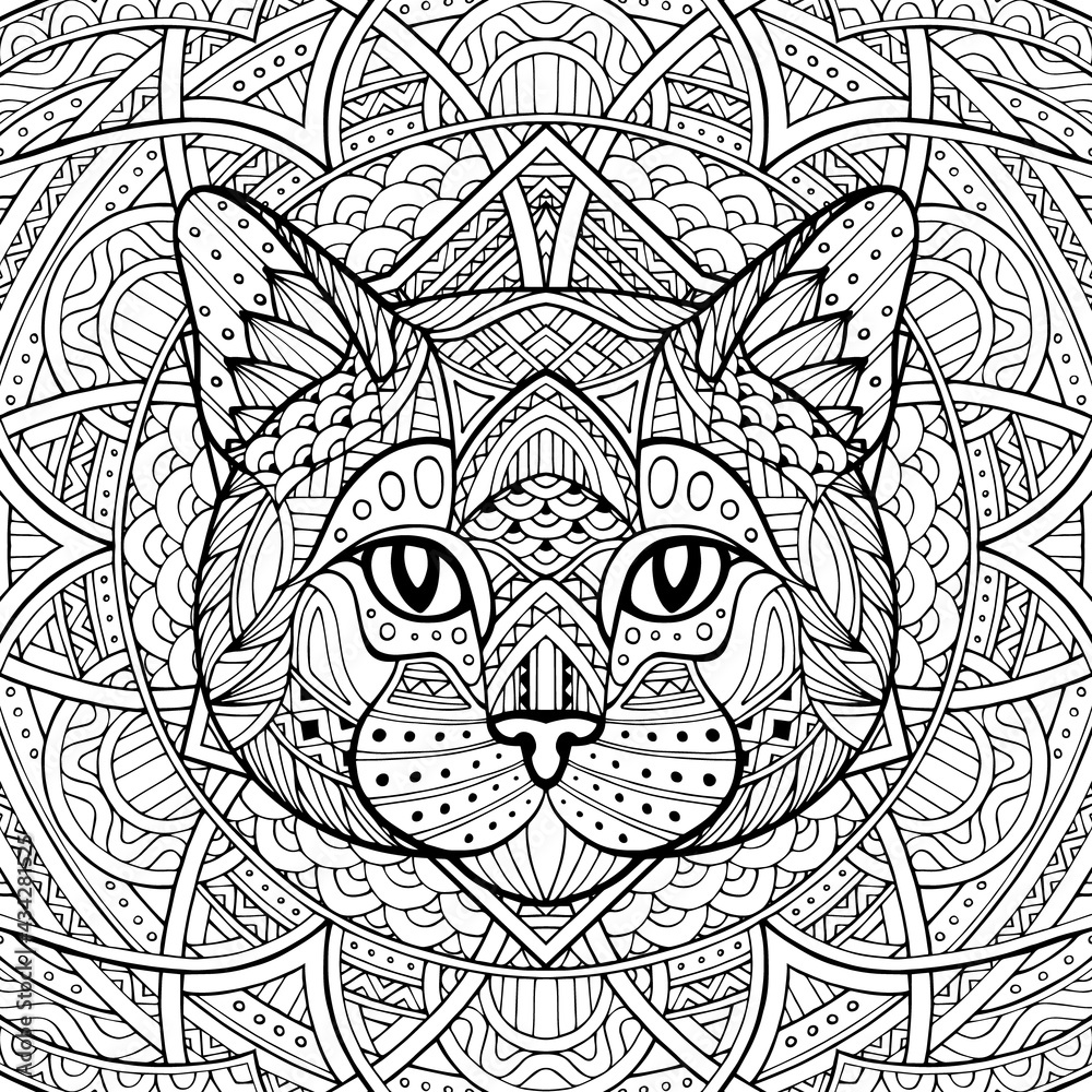 Patterned cat, kitty head in the zentangle style of a white background ...