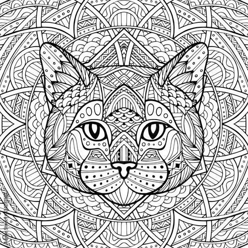 Photography Patterned cat, kitty head in the zentangle style of a white background passing