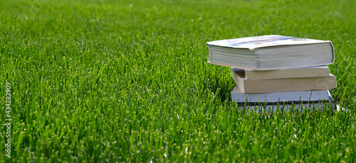 Stack of books in the green grass on the field on sunny day. Reading and knowledge concept. Banner with copy space for text. Back to school. Pile of vintage old hardback books.