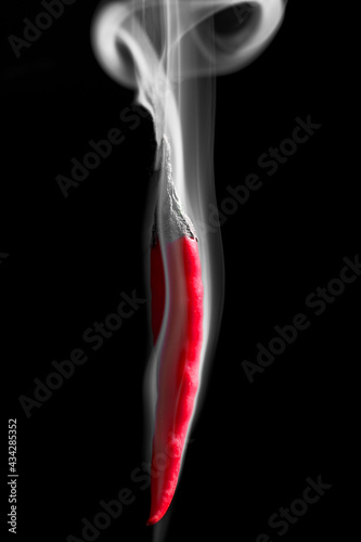 Hot chili pepper in smoke on a black background