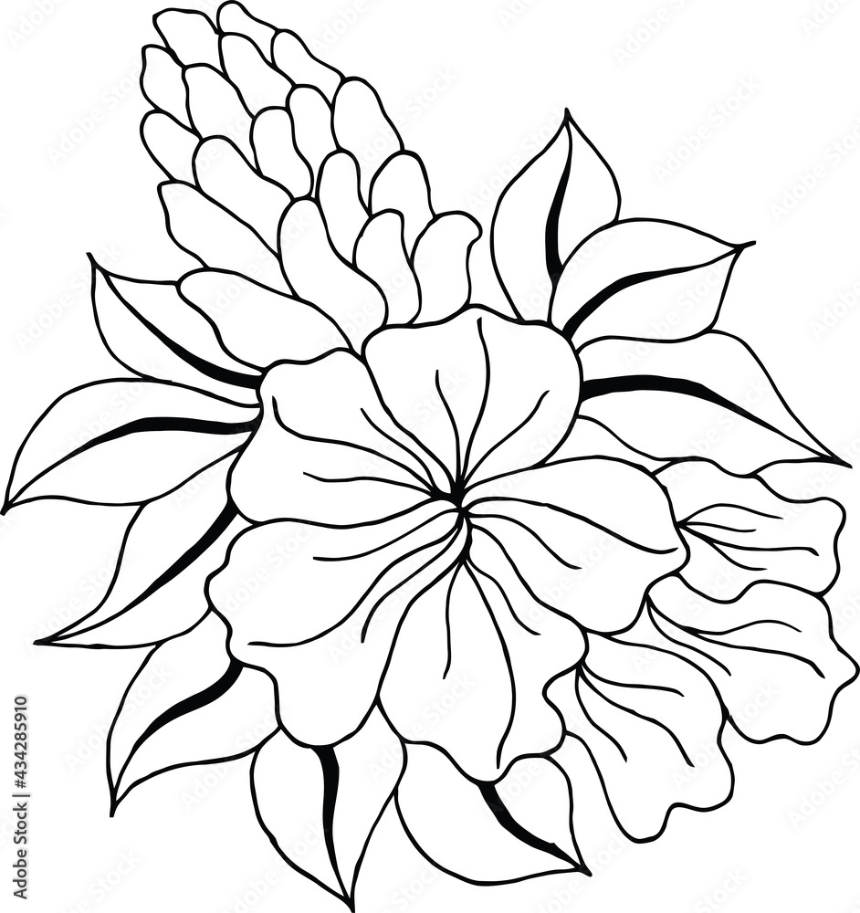 Outline flower coloring page. Black and white flower. For coloring Book. Outline flower coloring page. Black and white flower. For coloring Book.