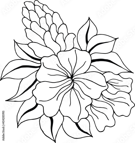 Outline flower coloring page. Black and white flower. For coloring Book.