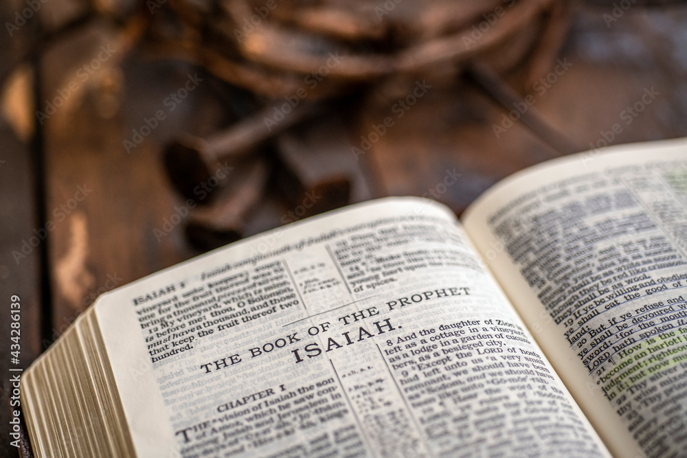 Fototapeta premium Crown of thorns and nails 