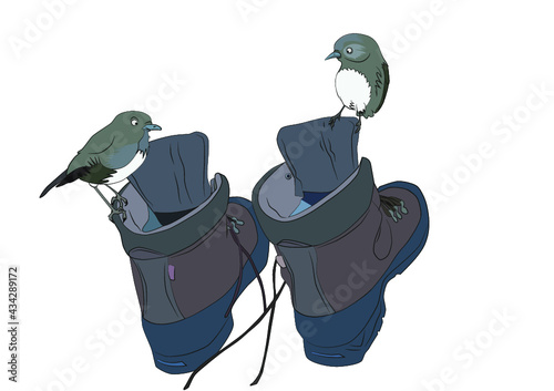 Birds and Boots