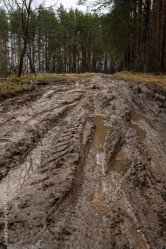 Rural muddy dirt road in early spring after rain against a background of bare trees and green firs. Off-road, wild unpaved trail