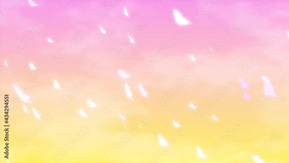 Lots of butterfly loop background material