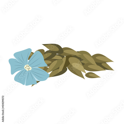 Flax seeds, flax flower, a handful of seeds