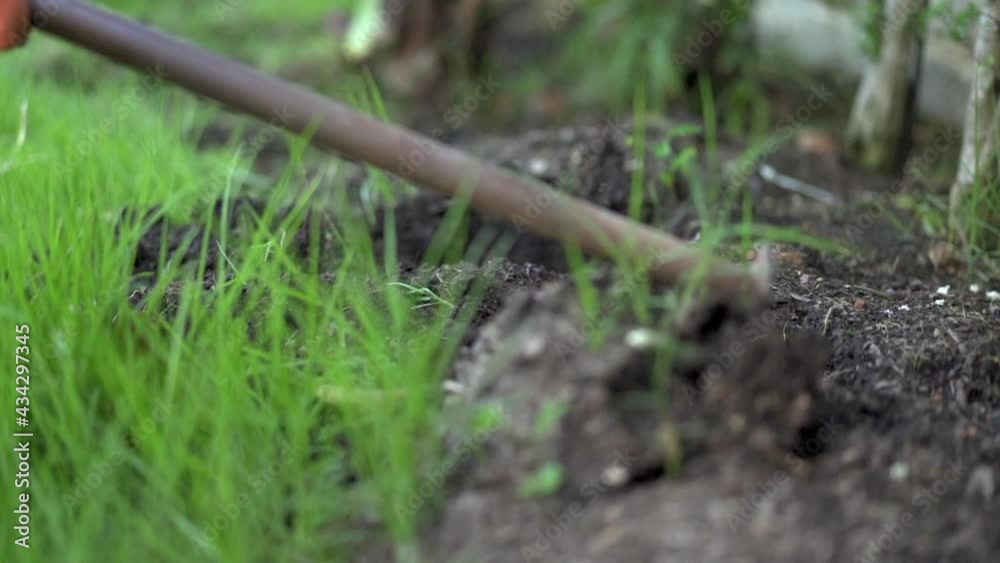 Unrecognizable woman cutting a grass at grass field by using small shovel close up. Gardening at home. Unrecognizable woman cutting a grass at grass field by using small shovel close up. Gardening at home.