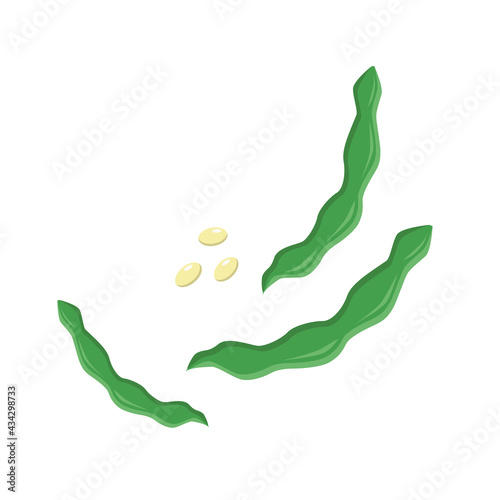 String beans with grains, vector illustration
