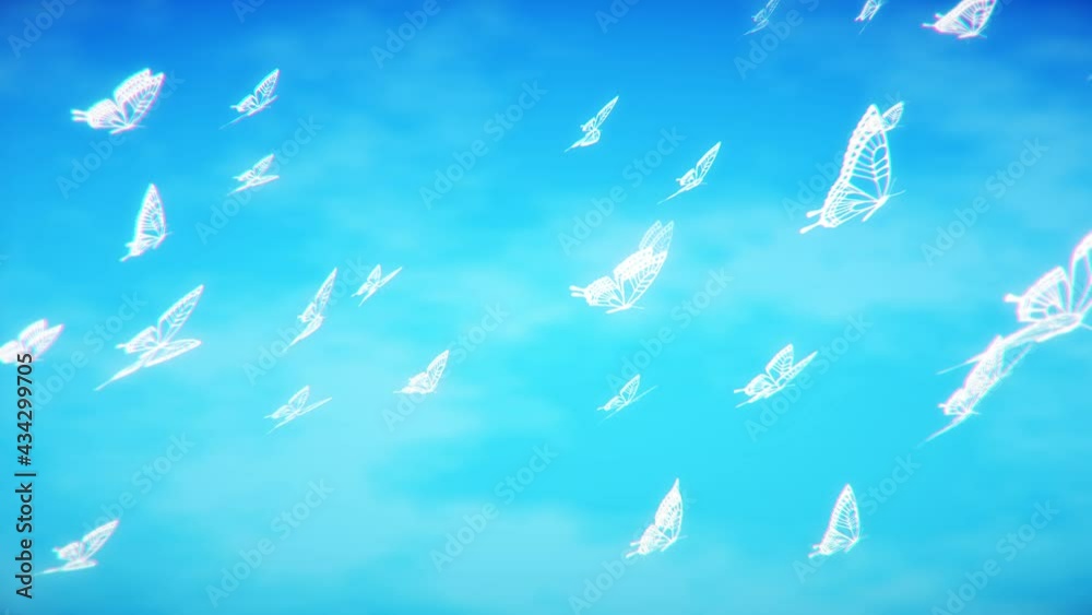 Lots of butterfly loop background material