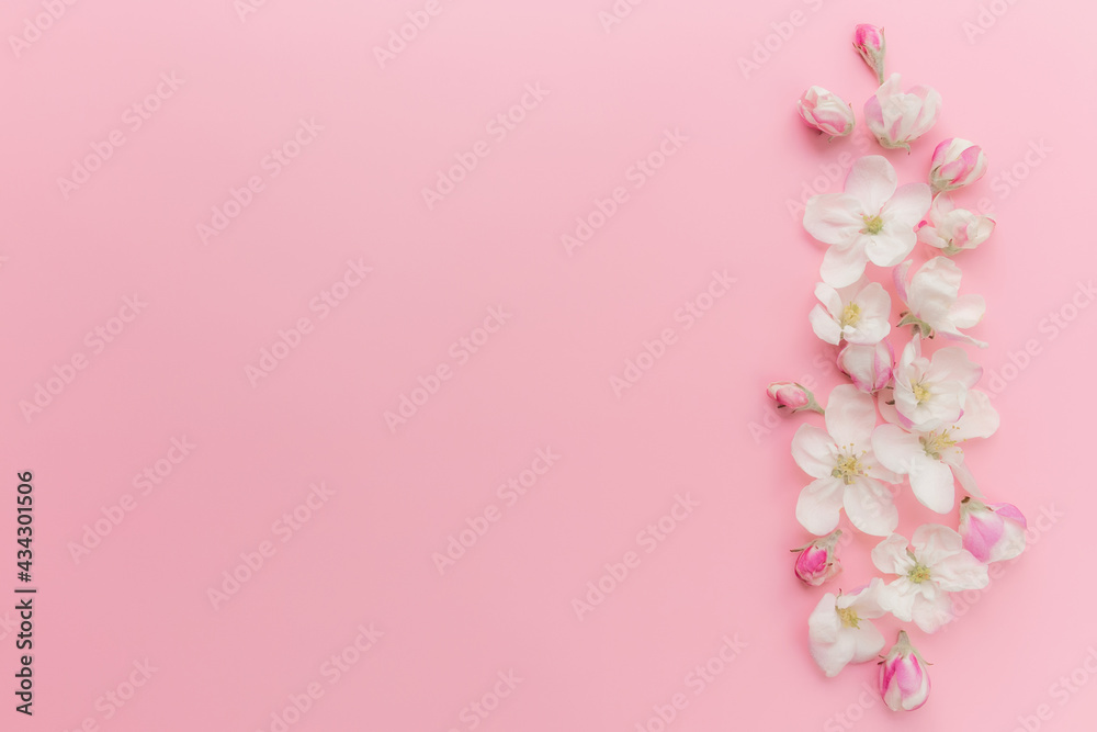 Flat lay on pink background with apple blossom ornament border Flat lay on pink background with apple blossom ornament border