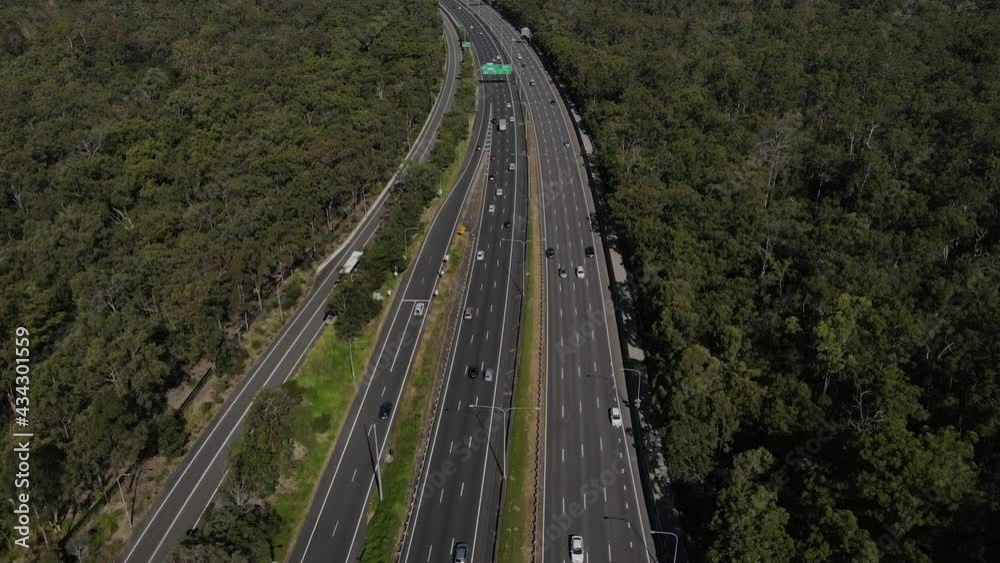 Highway among the trees, medium traffic Highway among the trees, medium traffic