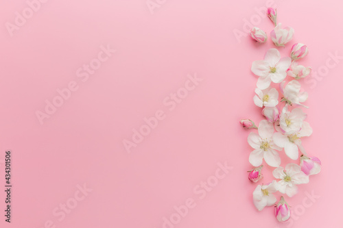 Flat lay on pink background with apple blossom ornament border