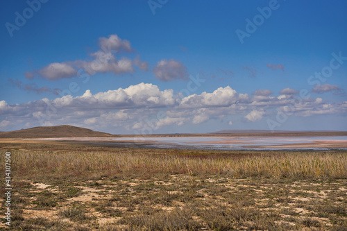 Panorama of the Koyashskoe pink salt lake in the National Opuk Reserve