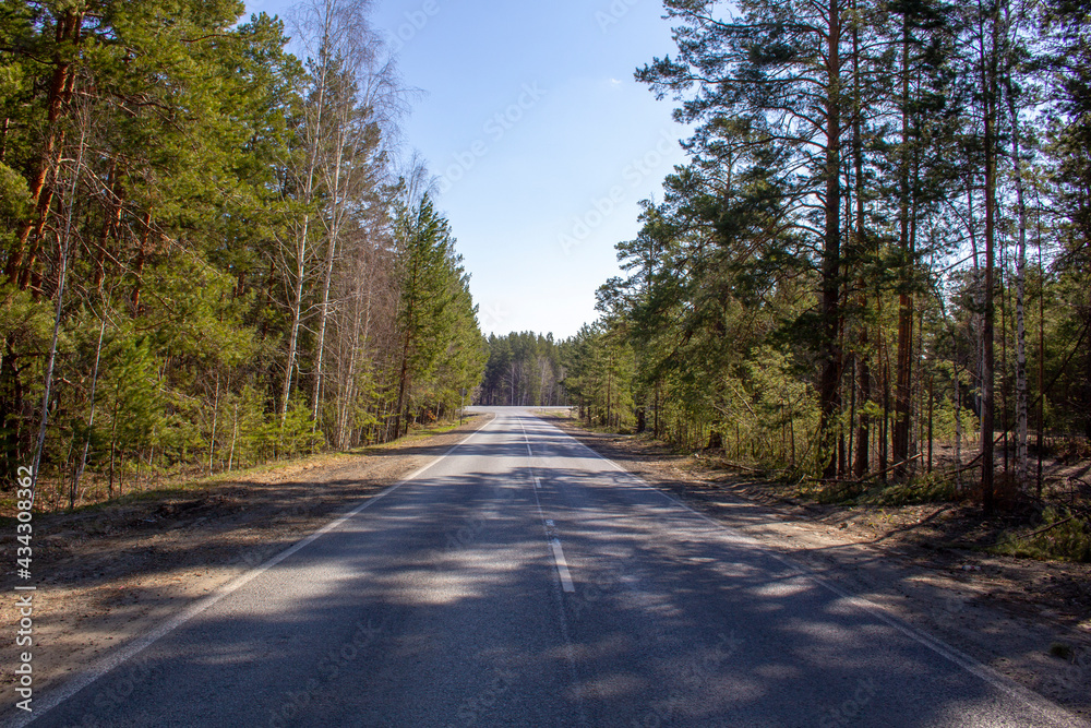 Obraz premium Straight highway between trees. Section of the road in the Kurgan region in Russia