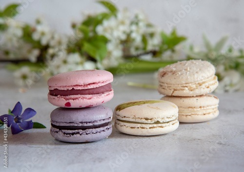 Fototapeta Naklejka Na Ścianę i Meble -  Several colorful macaroon cakes decorated with cherry blossoms on a gray background.
