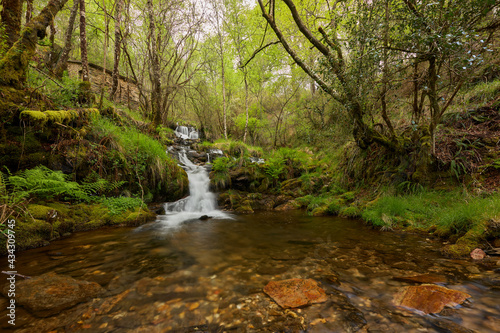 Small waterfall in a forest in the area of Galicia, Spain photo