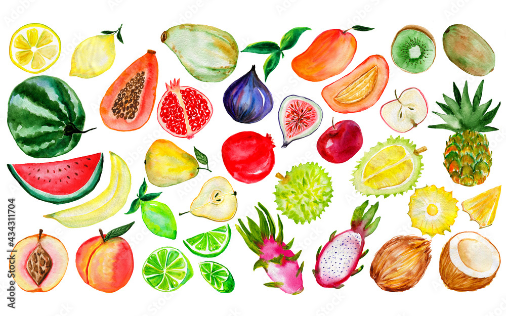 Watercolor fruit collection. Hand-drawn fresh food design elements isolated on a white background. Watercolor fruit collection. Hand-drawn fresh food design elements isolated on a white background.