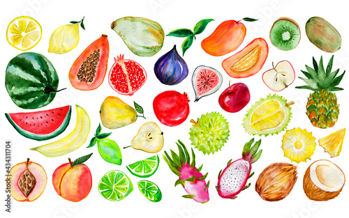 Fototapeta Naklejka Na Ścianę i Meble -  Watercolor fruit collection. Hand-drawn fresh food design elements isolated on a white background.