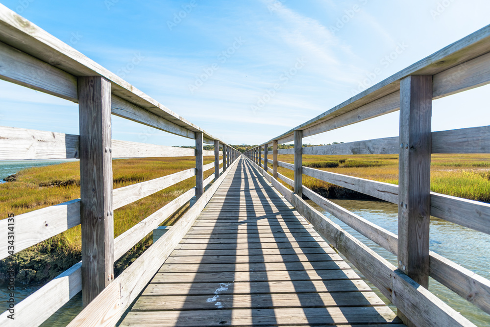 Low angle view of a deserted fenced boardwalk through a saltwater marsh on a clear autumn day. Converging lines. 