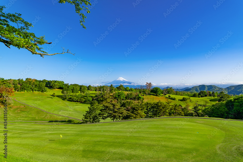 Obraz premium 新緑の芝生の整ったゴルフ場