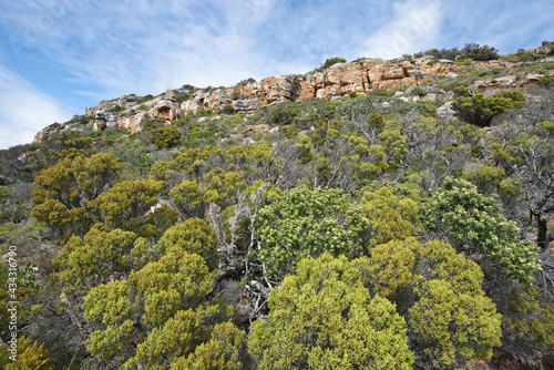 Südafrika - Kap der guten Hoffnung - Wandern zum Cape Point