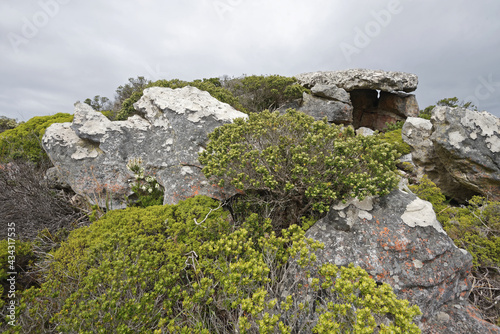 Südafrika - Kap der guten Hoffnung - Wandern zum Cape Point