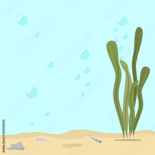 Seaweed with coral and bubbles. Air bubbles rise up in the water. Sea floor landscape