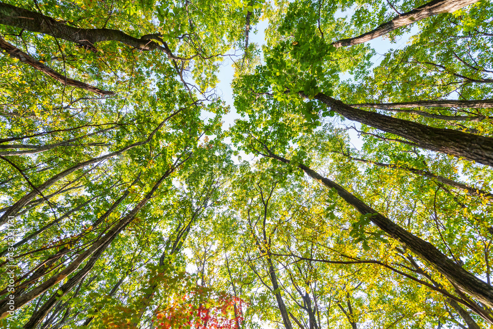 Fototapeta premium Seoraksan National Park in Autumn, Gangwon, South Korea