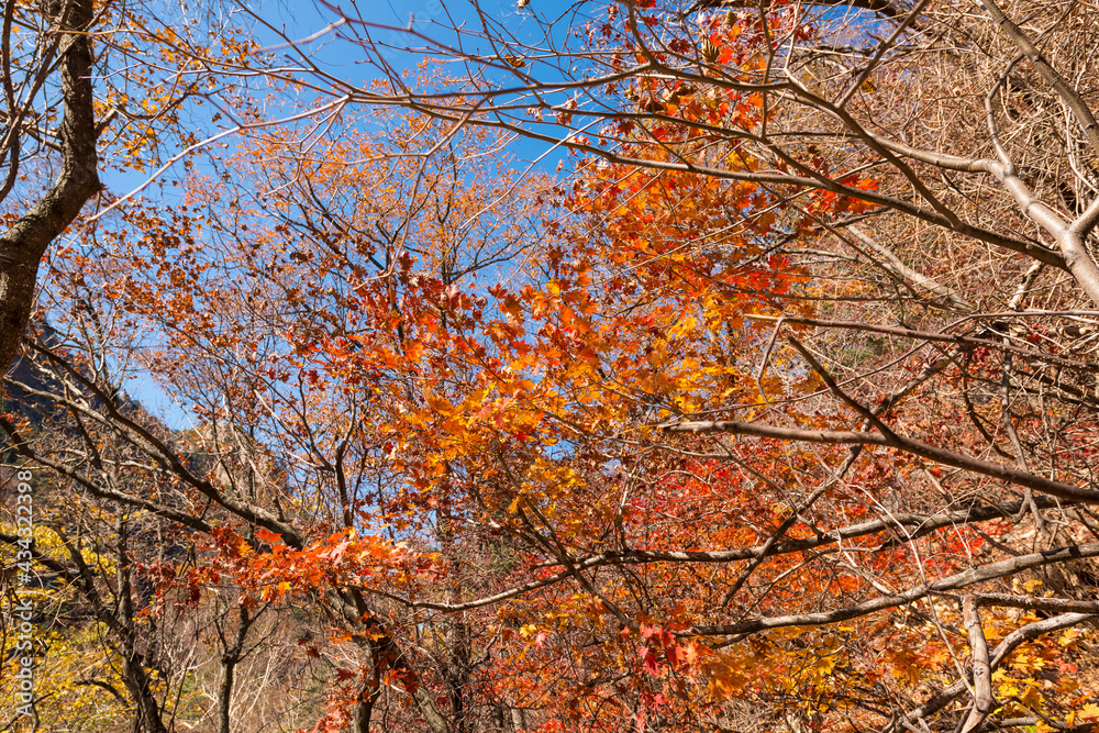 Seoraksan National Park in Autumn, Gangwon, South Korea Seoraksan National Park in Autumn, Gangwon, South Korea