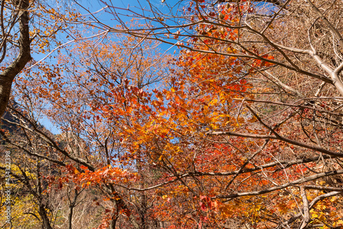 Seoraksan National Park in Autumn, Gangwon, South Korea