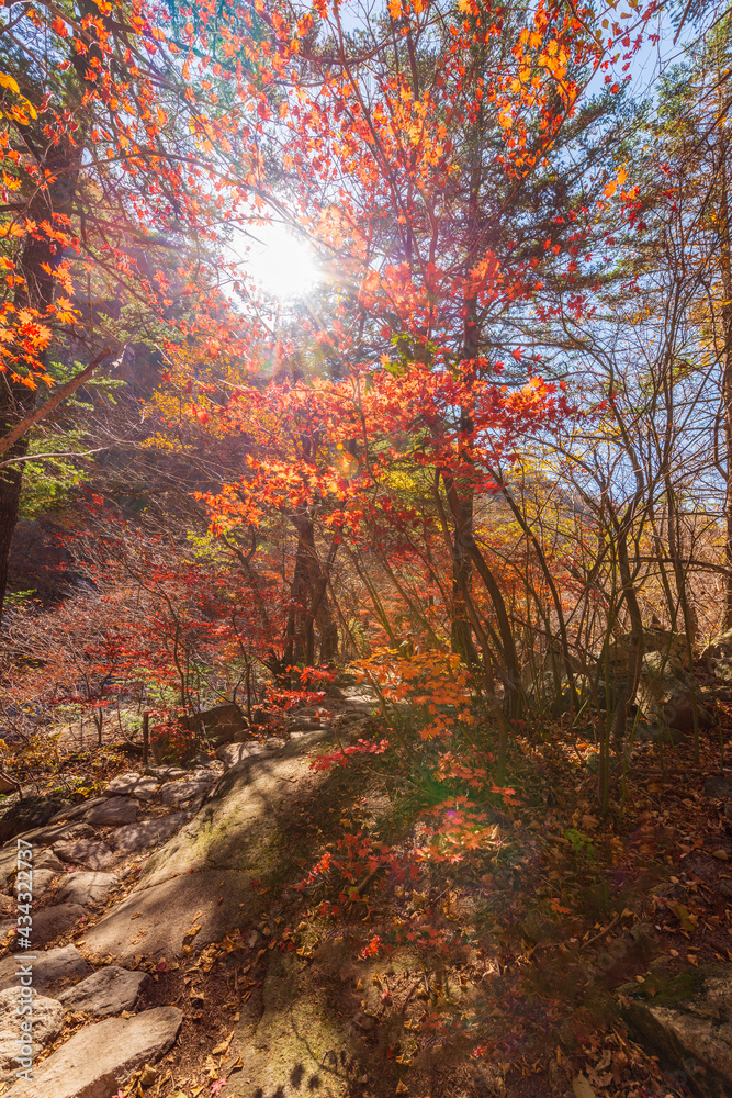 Fototapeta premium Seoraksan National Park in Autumn, Gangwon, South Korea