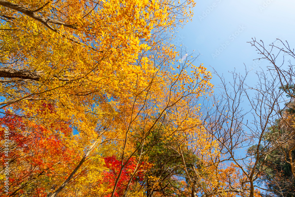 Seoraksan National Park in Autumn, Gangwon, South Korea Seoraksan National Park in Autumn, Gangwon, South Korea