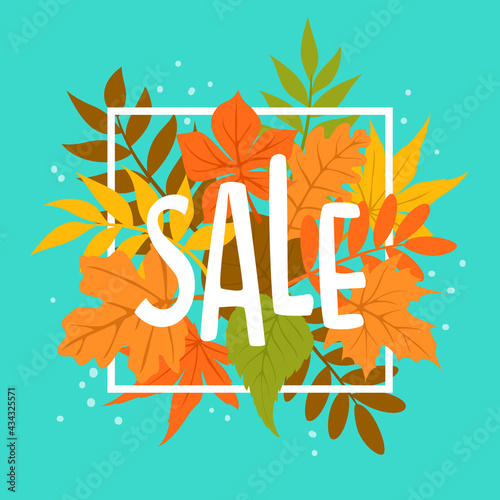 autumn fall leaves sale banner background, hadnwritten text photo