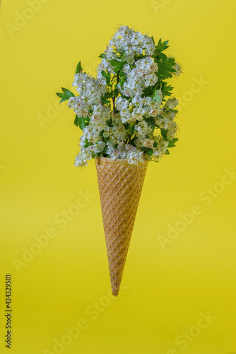 Fototapeta Naklejka Na Ścianę i Meble -  Ice cream cone with flowers on a yellow background. The concept of minimal food.