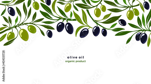 Oliva plant, green background. Vector plantation