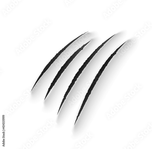 Tiger claw marks, scratches, wild animal vector talon rips. Predator nails trail, bear or cat paws sherds, realistic 3d marks of lion, monster, dragon or beast, break traces on white paper background