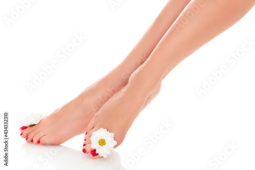 Beautiful female legs with daisy flower isolated on white background