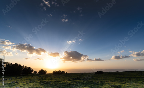 sunset over the field