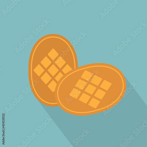 traditional polish smoked sheep milk cheese- vector illustration
