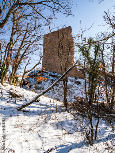 Mountain landscape with the ruins of a medieval castle in the Vosges. photo