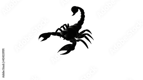 Black scorpion illustration