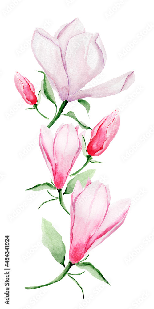 Floral arrangement for frames and borders watercolor magnolia. Template for decorating designs and illustrations.