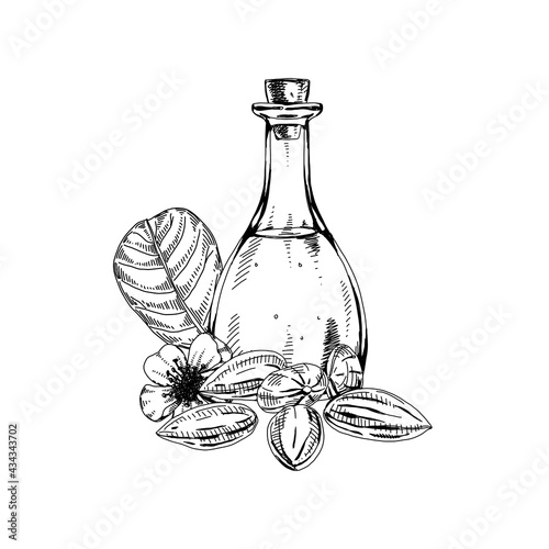 Almond oil bottle, retro hand drawn vector illustration.