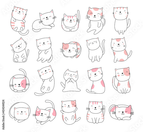 Hand drawn style white cute cat animal cartoon
